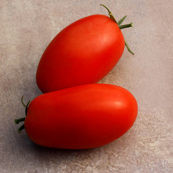 Saladette Tomato - Supremo (STM5817) F1 