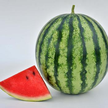 Citrullus lanatus - 'Mambo' Watermelon