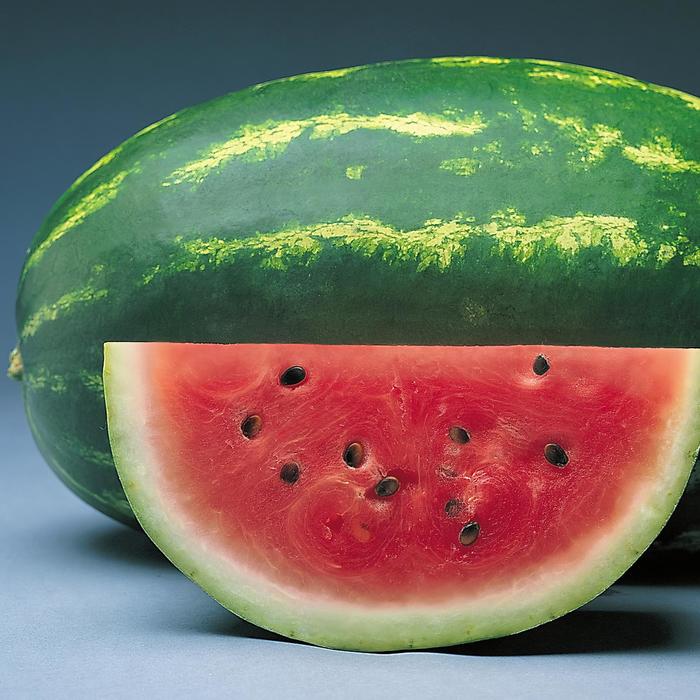 'Sunsugar' Watermelon - Citrullus from Wilson Farms Inc