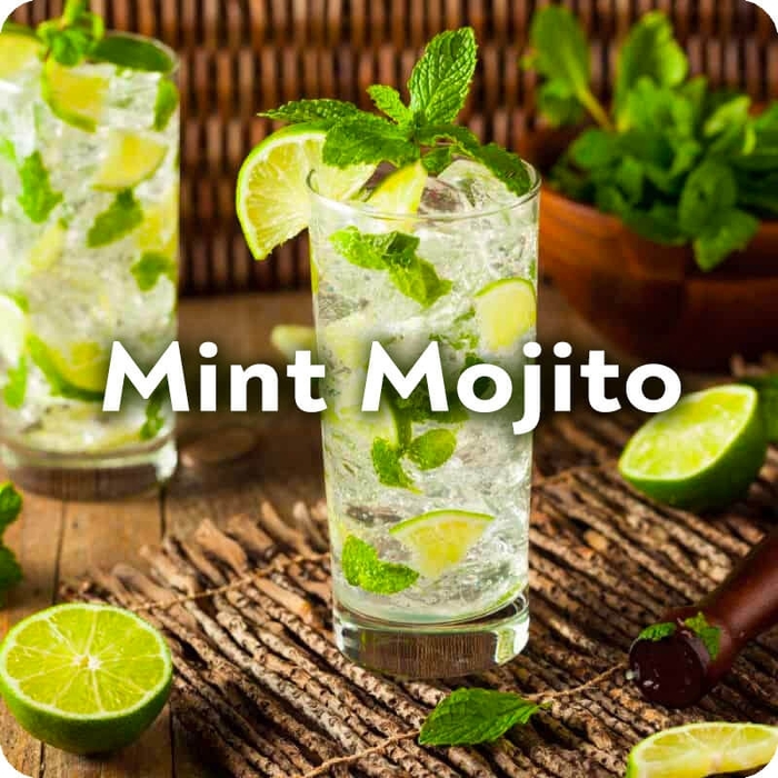 'Mojito' Mint - Mentha x from Wilson Farms Inc